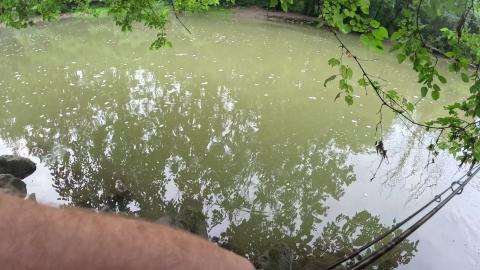 Great Time Fishing 
