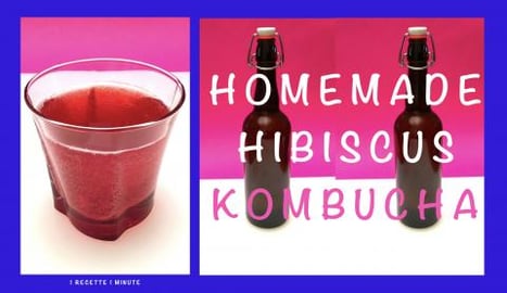 How to Make Hibiscus Kombucha / Healthy & Refreshing Drin...