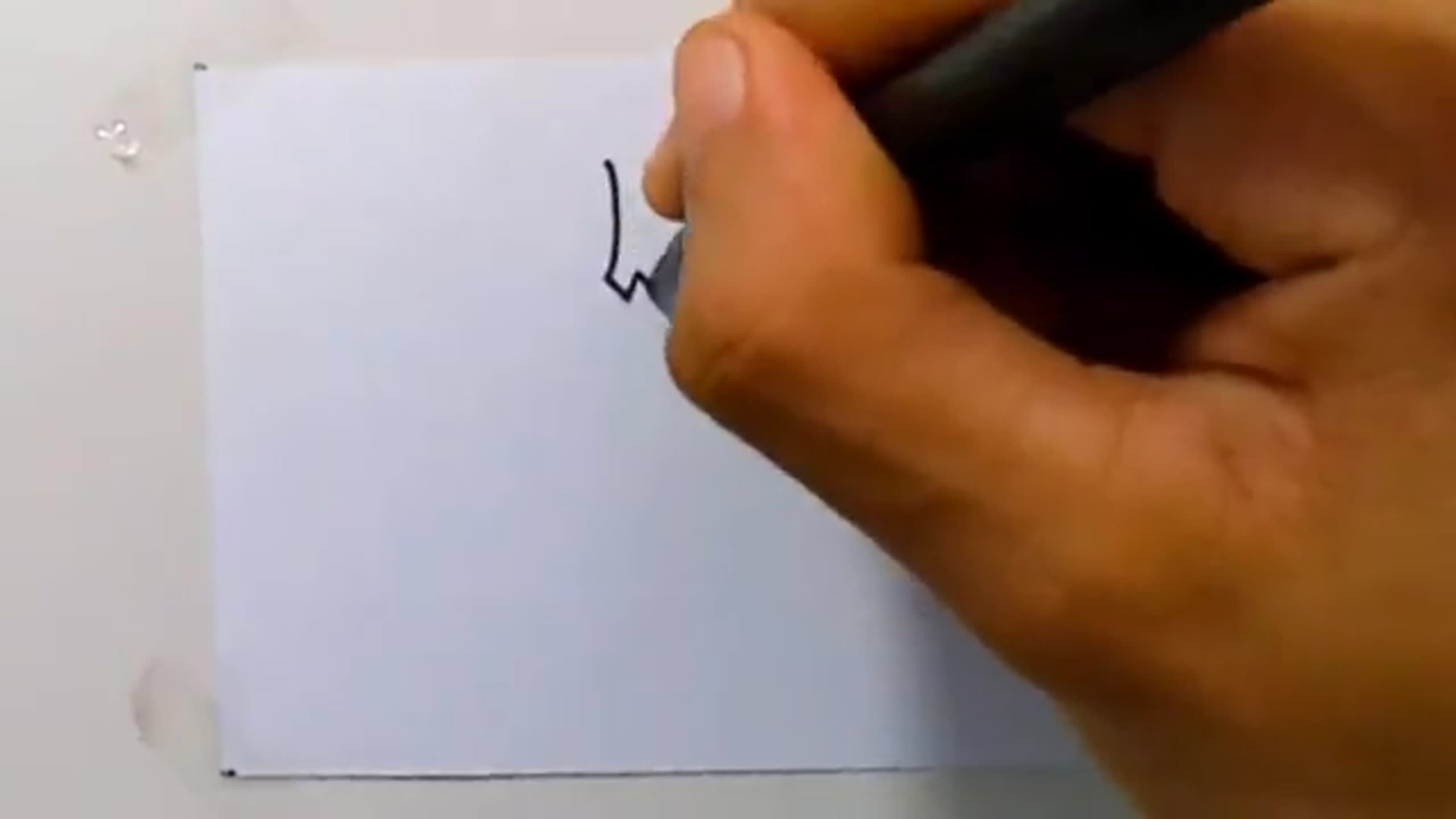 Drawing tatto v13 2024