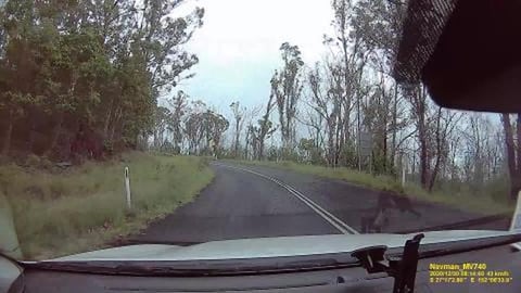 Drive video to Persaverence Dam