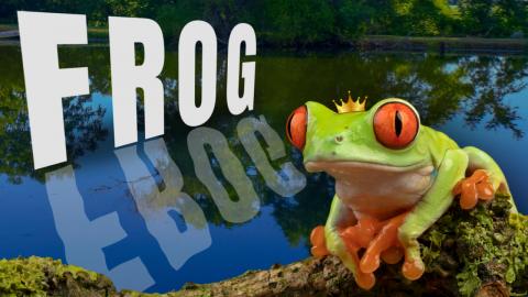 Frog Facts That Will Blow Your Mind! 