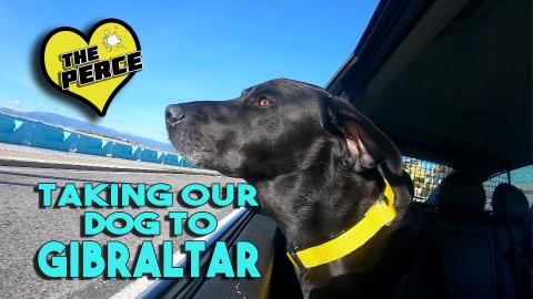 We take our Dog to Gibraltar