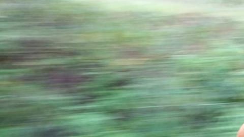 Early Morning Train  Ride To Mangaluru | Karnataka