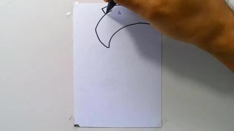 Drawing SPIDERMAN GWEN Shorts