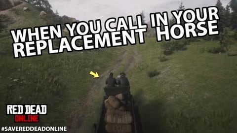 When You Call in Your Replacement Horse in Red Dead Onlin...