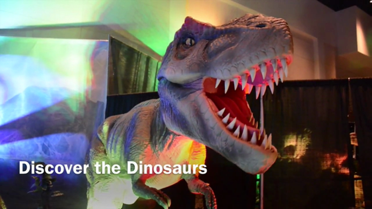 VIDEO Discover the Dinosaurs in Columbia The State