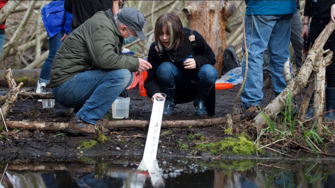 Watch Alderwood Elementary Students Release Salmon Fry in Bellingham