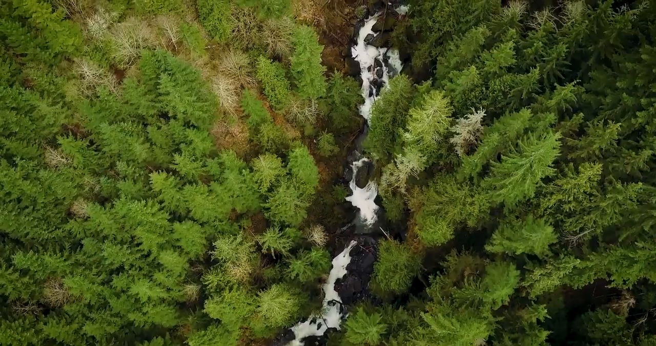 Temperatures are rising in the Nooksack Bellingham Herald