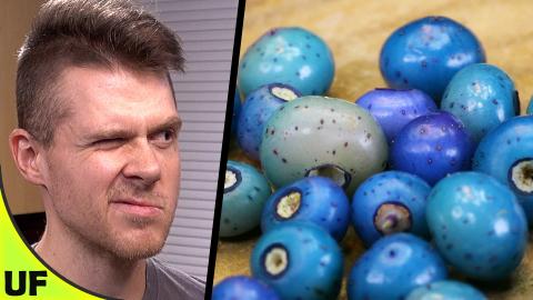 Rare TEAL Fruit! Porcelain Berry Taste Test | Unusual Foo...