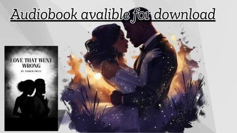 Love that went wrong audiobook