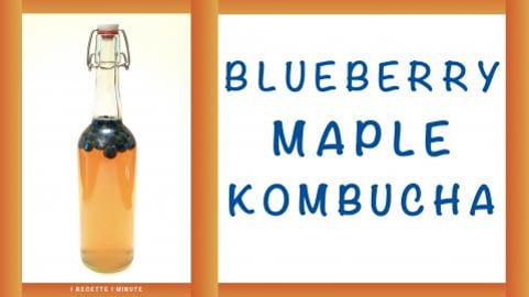 Homemade Blueberry Maple Kombucha / Healthy, Sparkling & ...