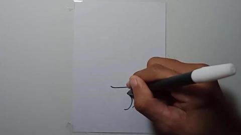 Drawing Graffiti CANDLE SKULL  shorts