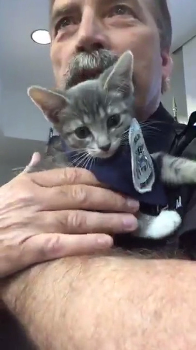 Raise your right paw.' Judge swears in 'Pawfficer Donut' as