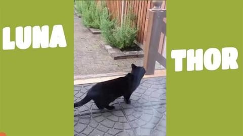 I want to go outside please