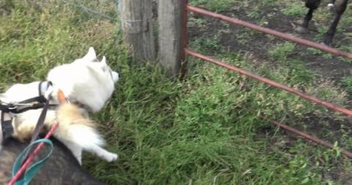 Walk around a small town south of Toowoomba