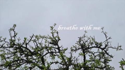 Gos first-guided meditation video 2026