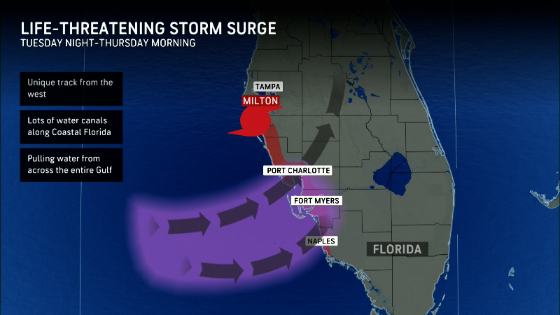 Is Florida Getting Emergency Food Stamps for Hurricane Milton? Urgent Update