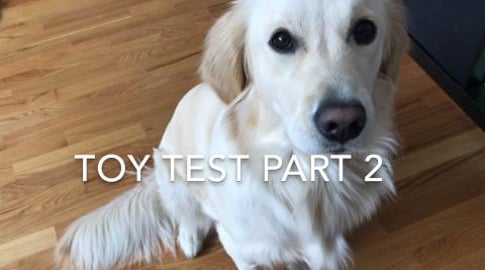 Lola Toy Test Part 2 