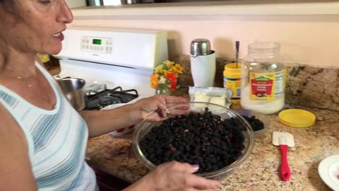 Amazing Mulberry Pie Recipe with Custard