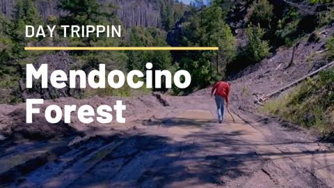 Day Trip Up The M1 - Indian Dick Area