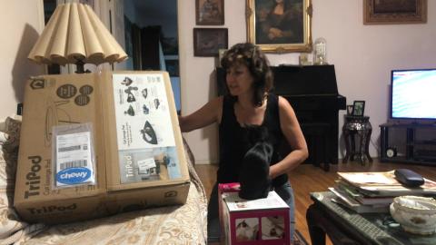 NEW TOYS for My Adorable Cute Kittens!