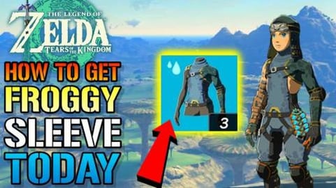 Zelda: Tears Of The Kingdom "An Irrie Voice" Quest Guide!...
