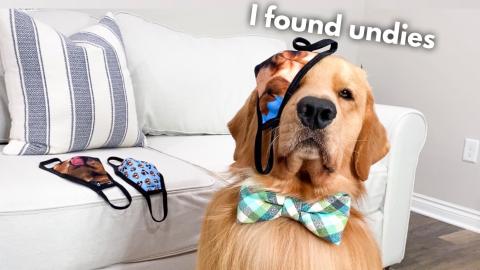 A SPECIAL ANNOUNCEMENT!