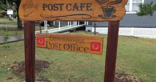 Mummy Kangaroo and it's baby popping out to see Wolf & Ti...