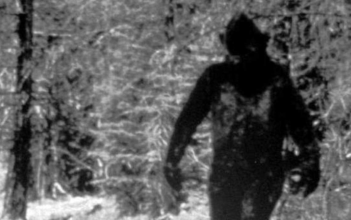 Carolina Bigfoot hunters claim sighting