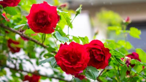 Mix Music: #2 – (Clarity)