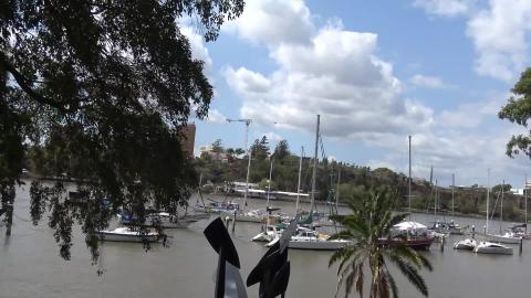 Duck diving, lizards & flowers