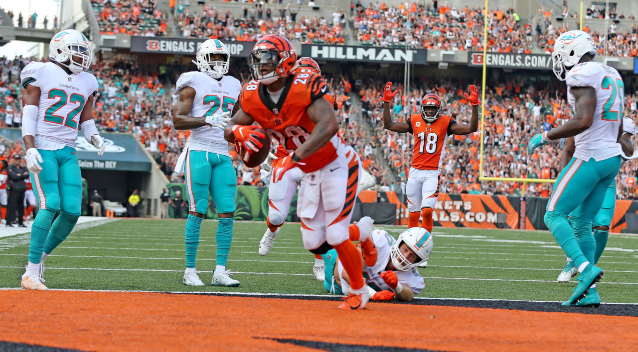 Cincinnati Bengals beat Miami Dolphins 27-17