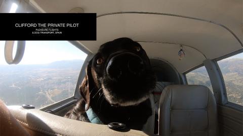 Taking our dog on Holiday in a Private Plane