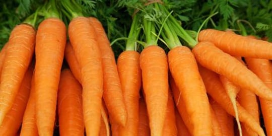 How To Make Carrot Oil at home for hair and skin.