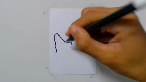 Draw tatto v52 2024 shorts