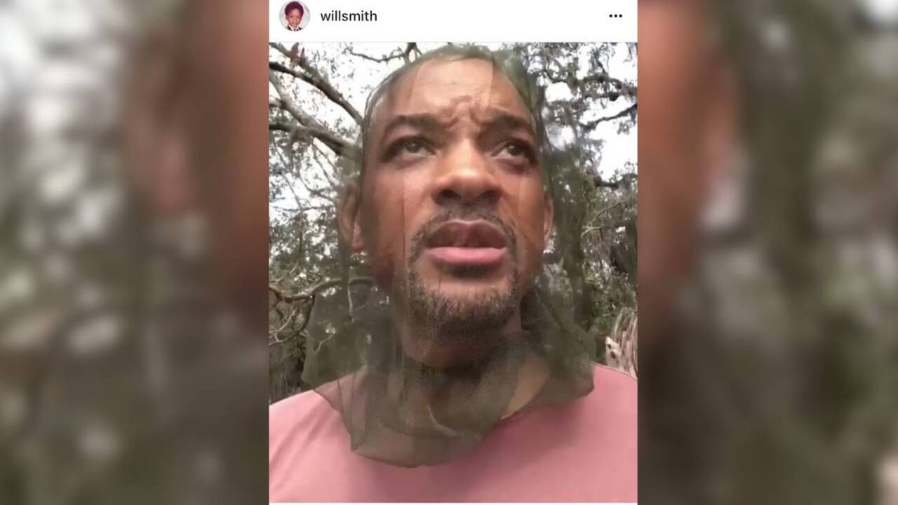 Actor Will Smith video rant too many bugs Hilton