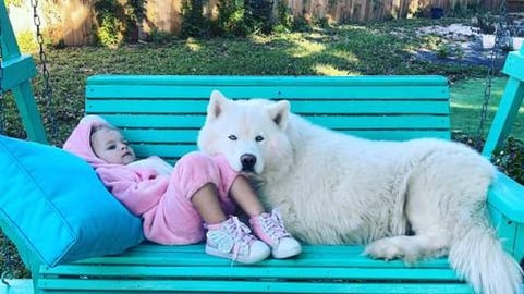 Husky Swings and Guards Her Baby Girl