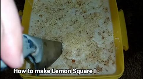 TasteHU100 _ LEMON SQUARE ICE CREAM CAKE