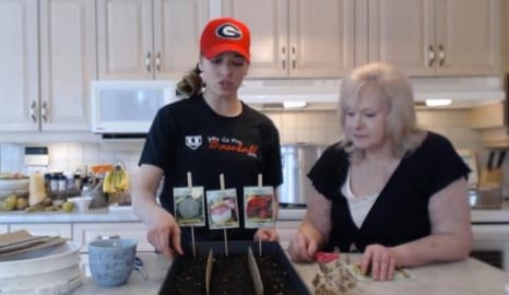 How to Start Seedlings Indoors for the Vegetable & Herb G...