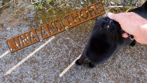 Taking Luna To Her Favourite Spot