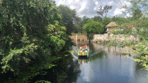 FIRST LOOK - Animal Kingdom - Donald & Friends Watercade ...
