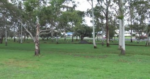 Freinds in the park to say hello too