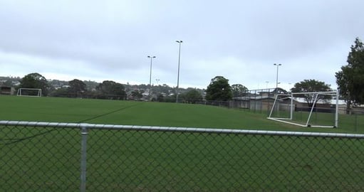 It's all so green & Wolf inspects the football pitch