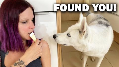 If You Want a SNACK and Your DOG Noticed it! | I tried to...