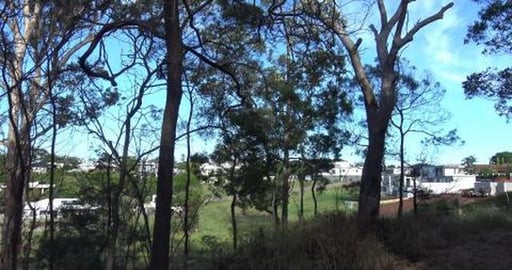 Exploring the whole park at the end of our road