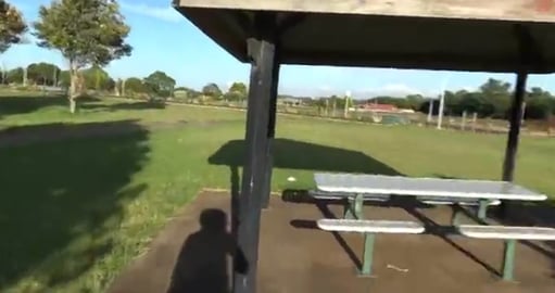 Farmland turned into houses & Husky too tired to chase Ha...