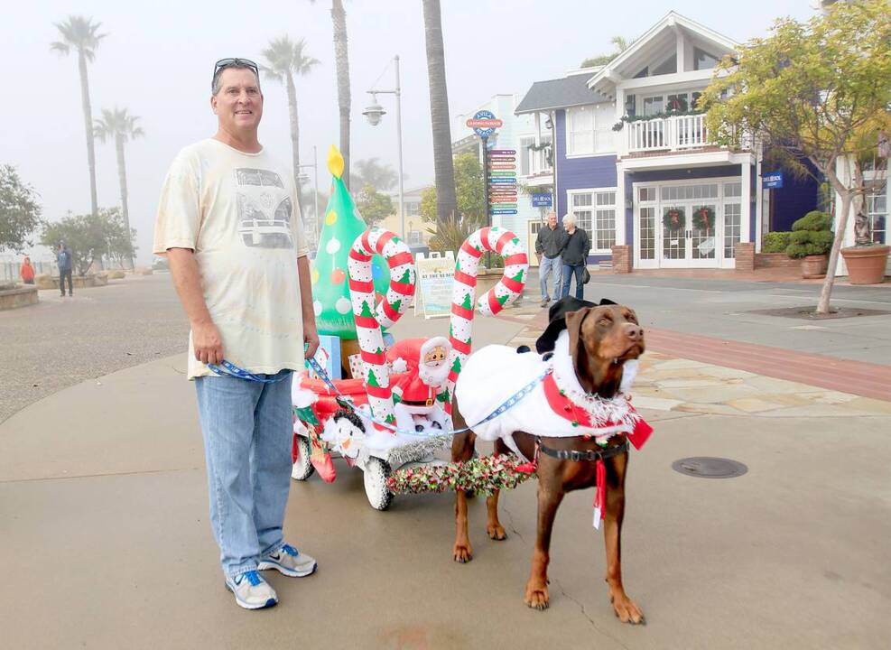 Dogs in holiday costume prance down the Avila Beach promenade San