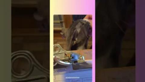 What To Do Today...I Know! First.... 