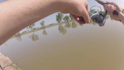 What a fight, Runs Down River PB Channel Cat... Weighted ...