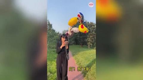 Very cute and cuddly puppy_1